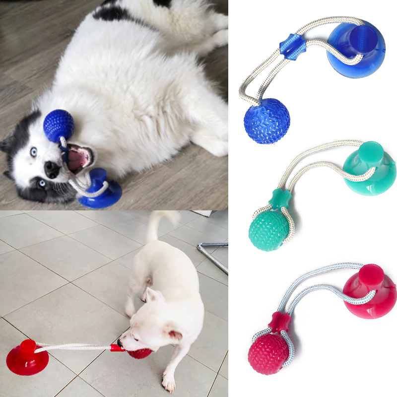 Saugnapf Hund Push Ball Spielzeug