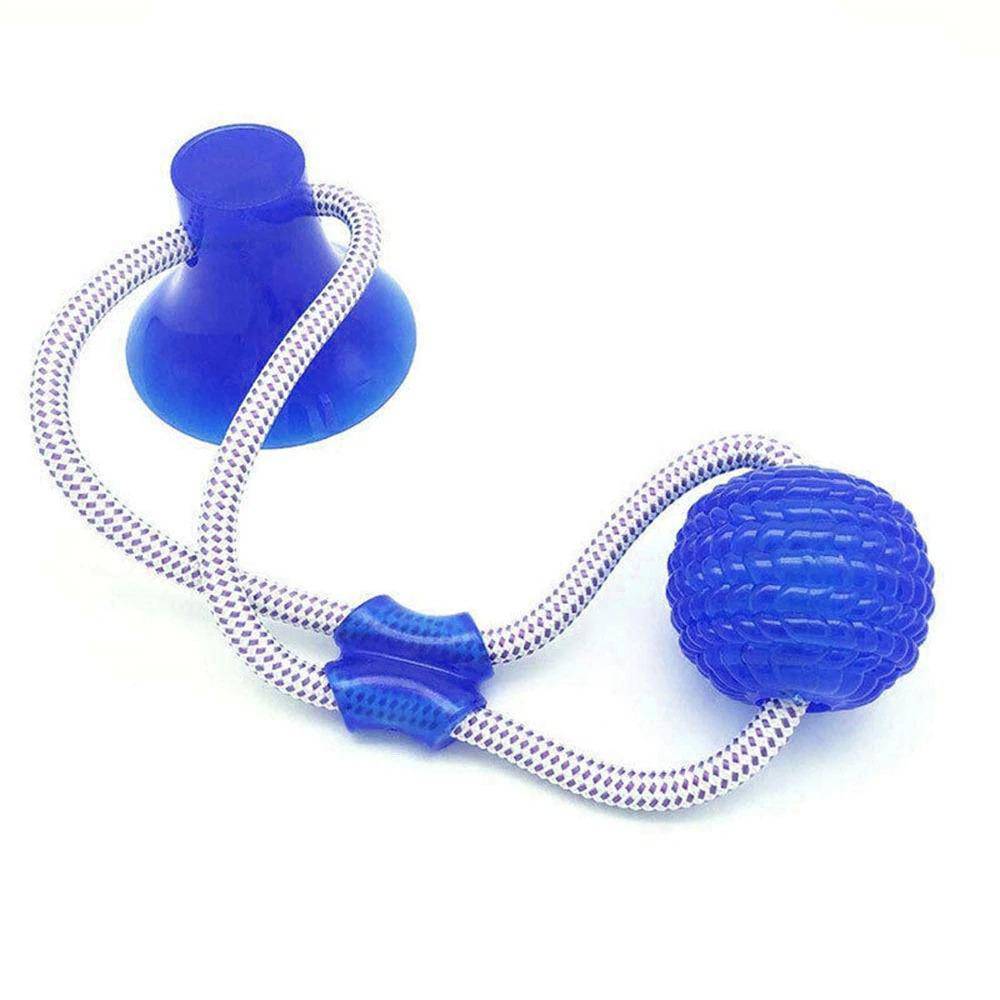 Saugnapf Hund Push Ball Spielzeug