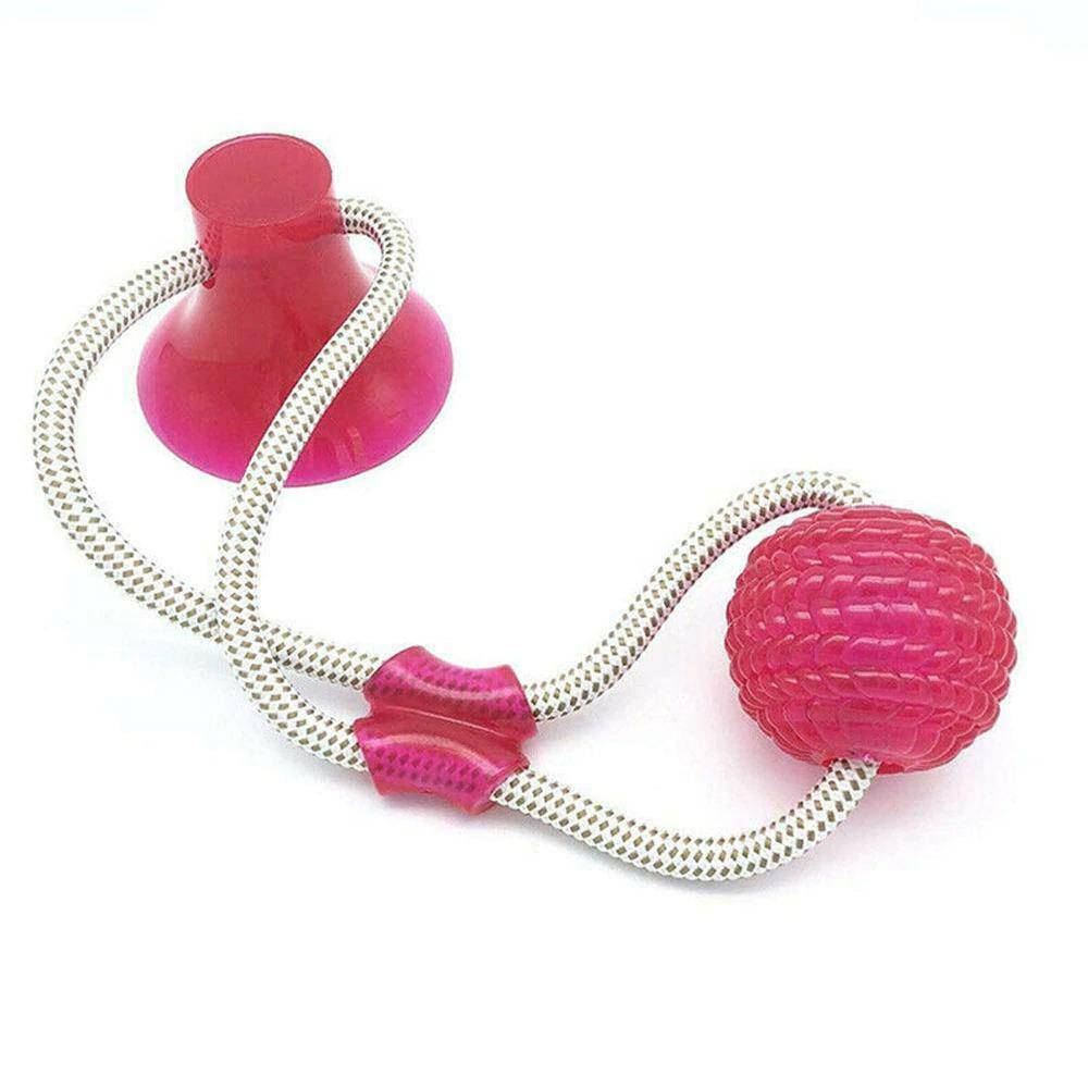 Saugnapf Hund Push Ball Spielzeug