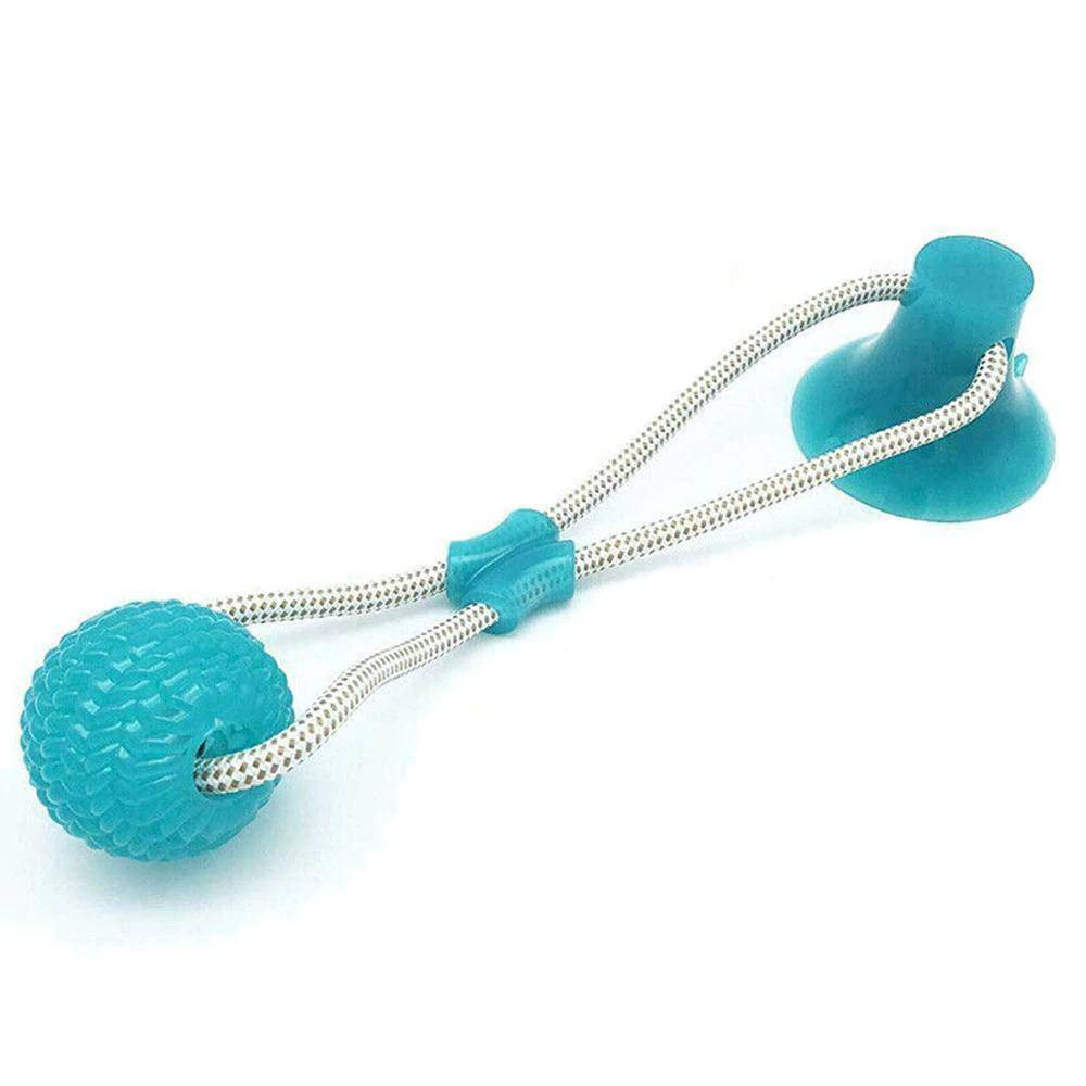 Saugnapf Hund Push Ball Spielzeug