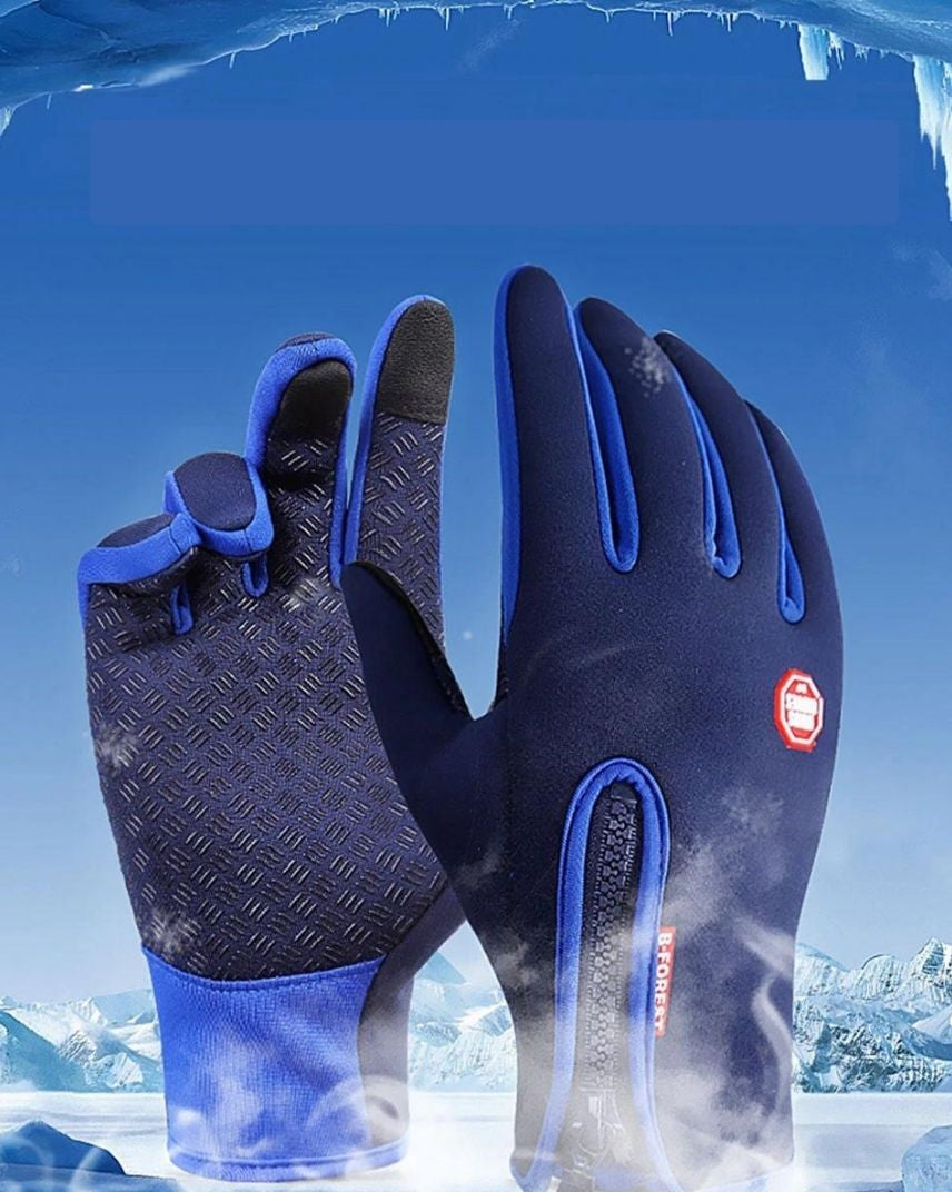 Skihandschuhe