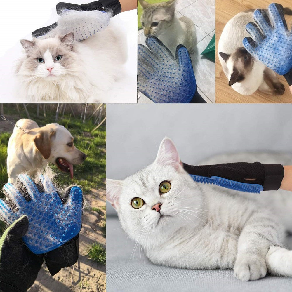 Handschuhe für die Haustierpflege