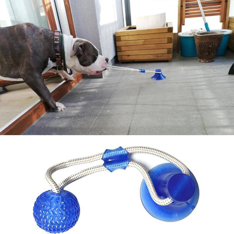 Saugnapf Hund Push Ball Spielzeug