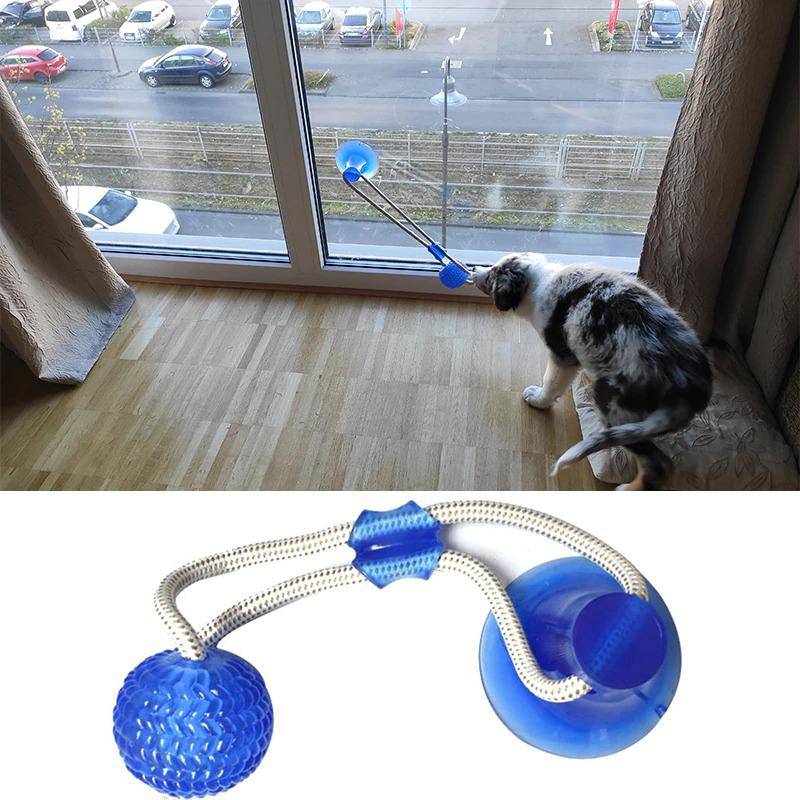 Saugnapf Hund Push Ball Spielzeug