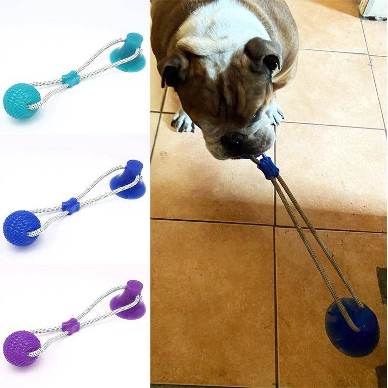 Saugnapf Hund Push Ball Spielzeug
